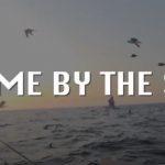 Home by the Sea – Kunnen visserij en windmolenparken naast elkaar bestaan?