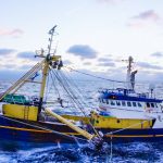 BBC Trawlermen: Hunting the Catch